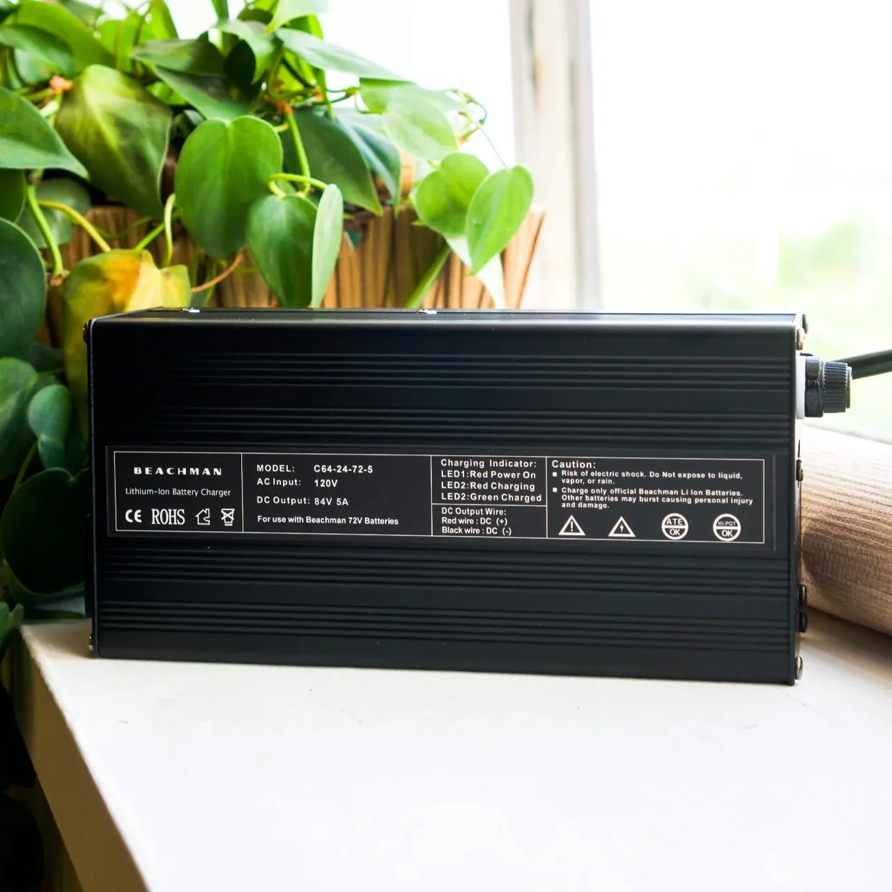 Beachman Charger - Image 2