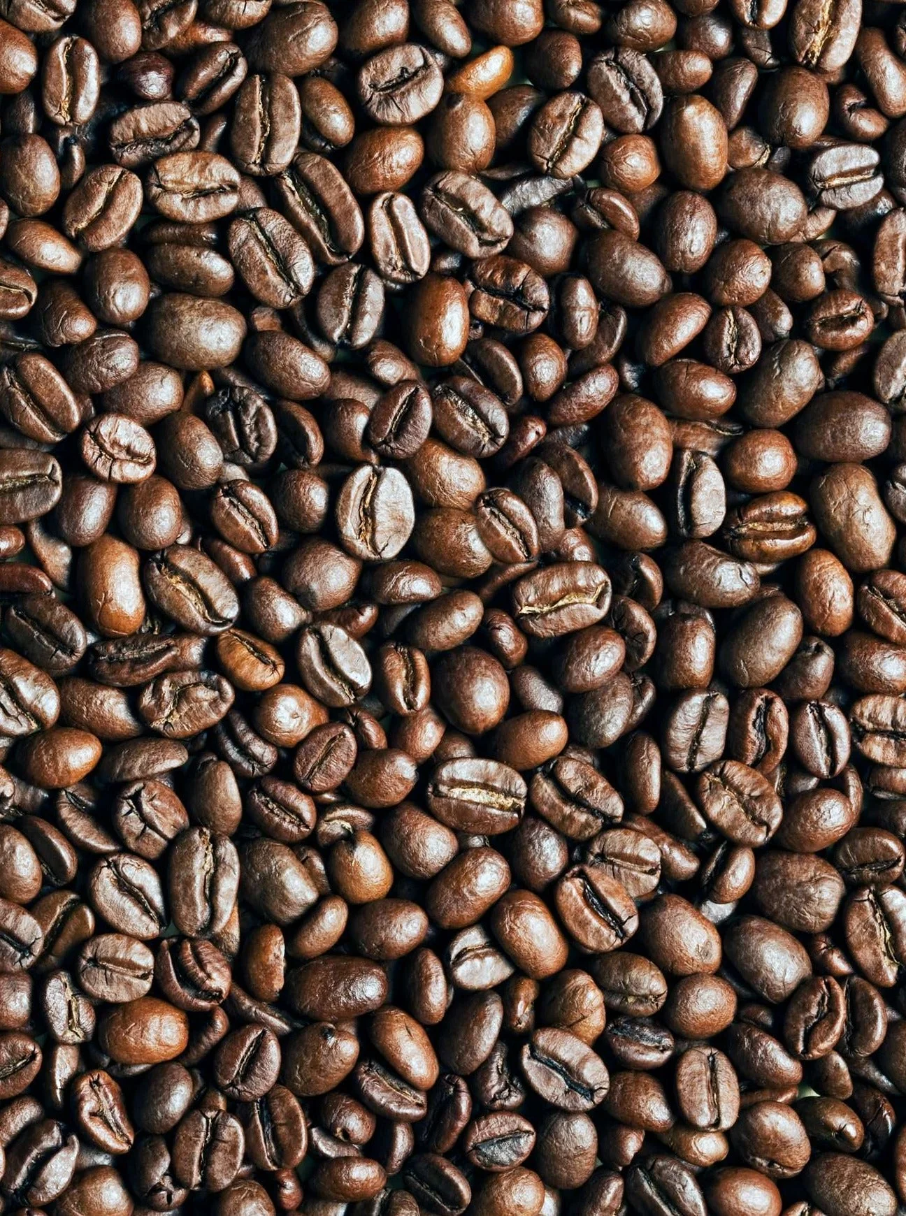 Bahama Blend - Light Roast Coffee Beans - Image 4