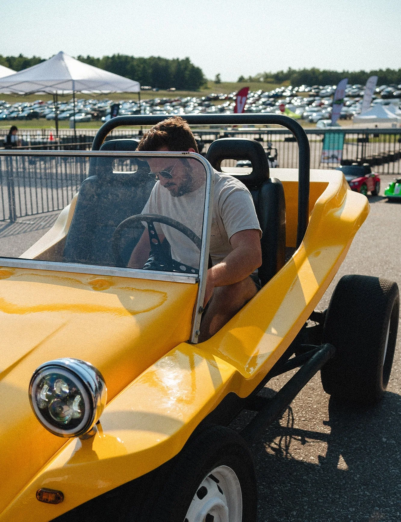 Bumblebee - Image 12
