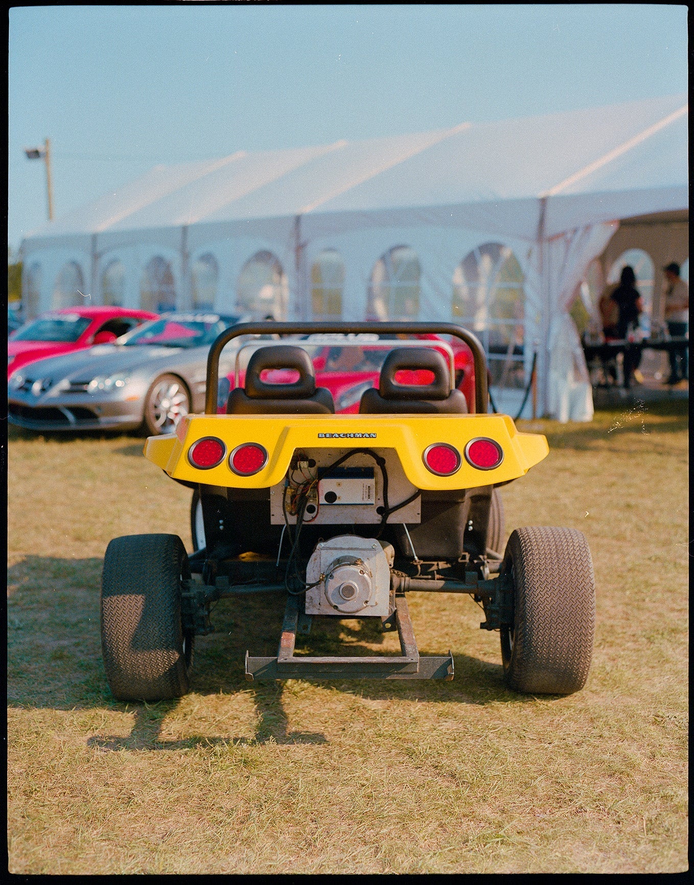 Bumblebee - Image 3
