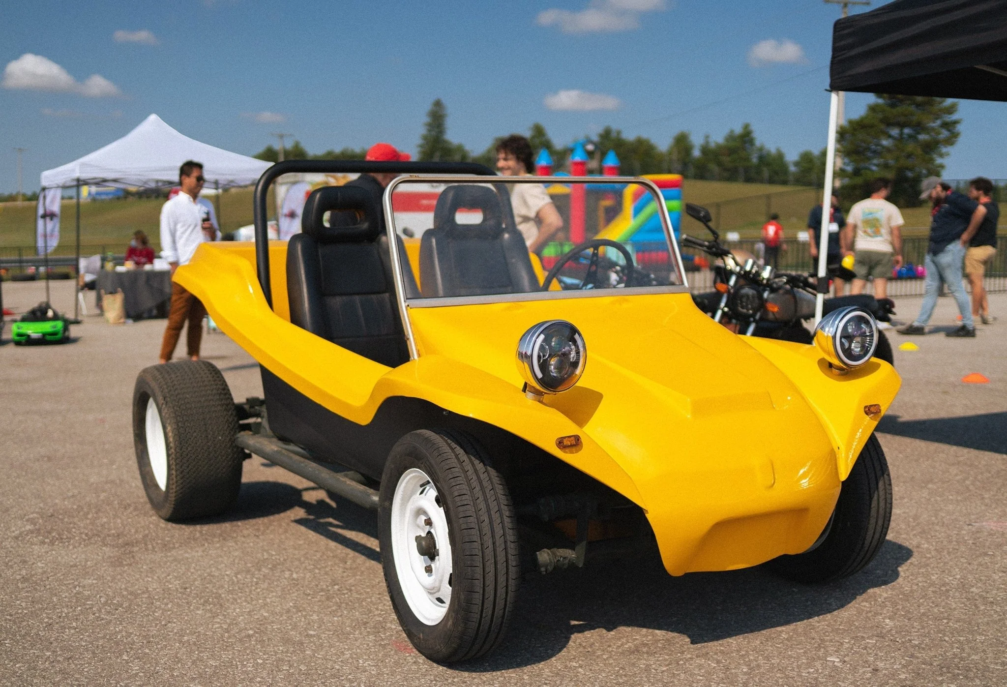 Bumblebee - Image 4