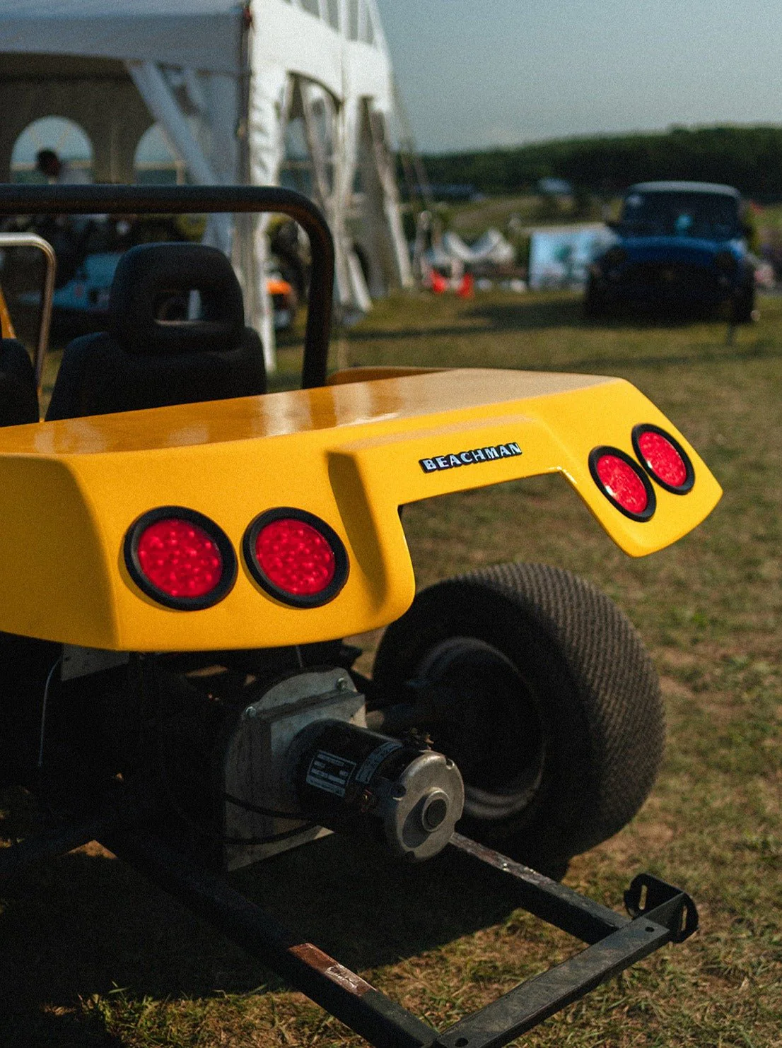 Bumblebee - Image 5
