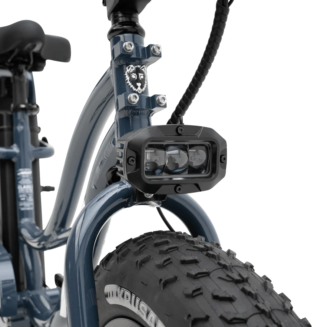 Higgs Plus Electric Cruiser Bike - Image 5