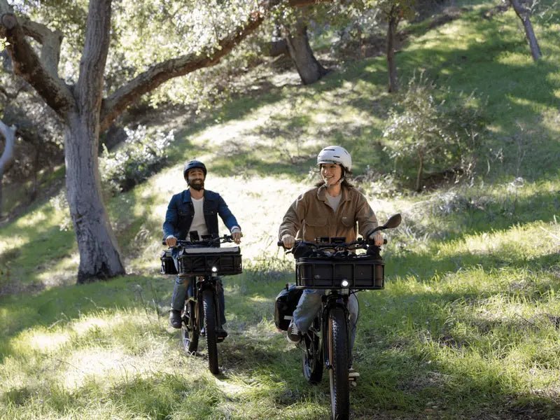 Radster Trail Off-Road Electric Bike - Image 5