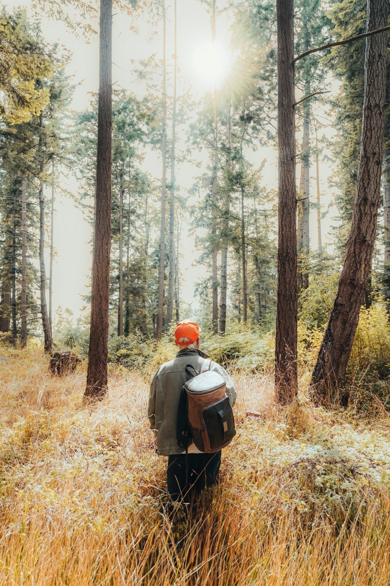 Traveler's Bag - Image 14