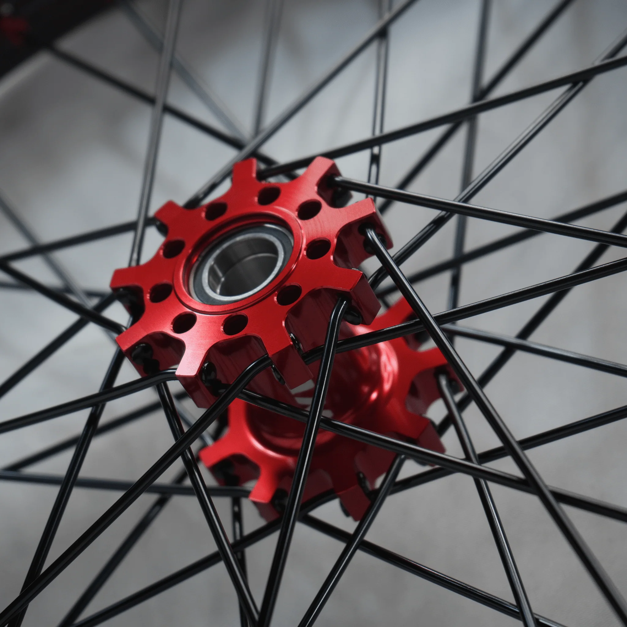WGT Splattered V2 19x16 Wheel Set - Image 4